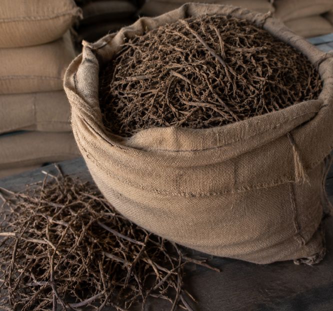 Naturally dried Nagarmotha roots for bulk supply